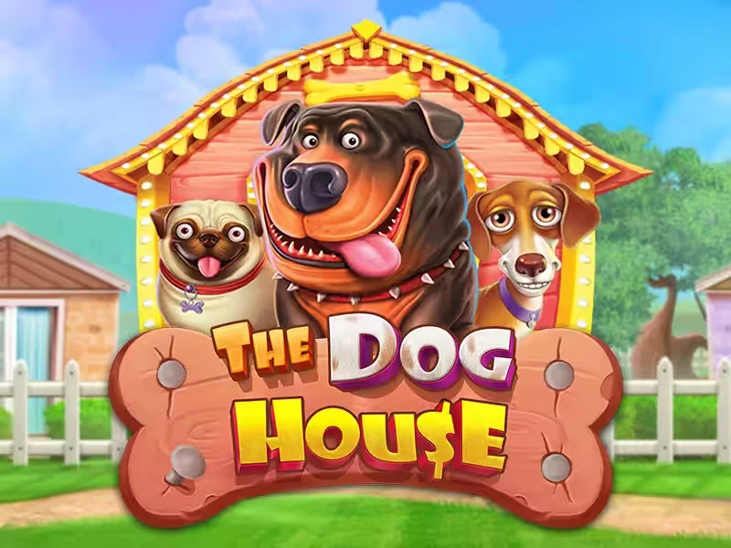 The Dog House